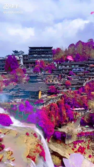 僵尸顶顶乐