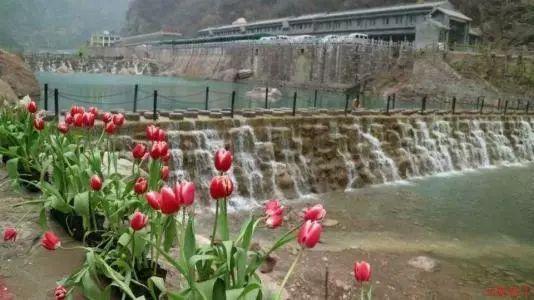 拯救精灵的土地10