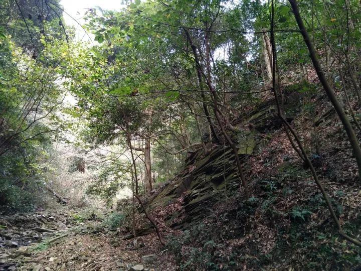 47岁张颂文终于在《狂飙》大火！