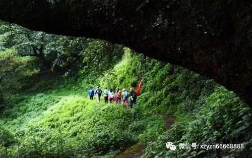 深海迷航